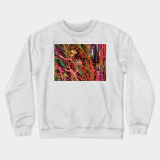 Liquidity 2 Crewneck Sweatshirt